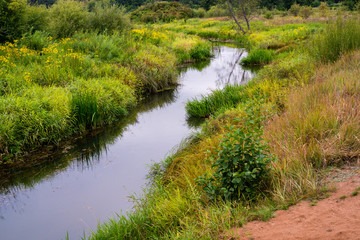 Fototapeta na wymiar landscape small river in the forest