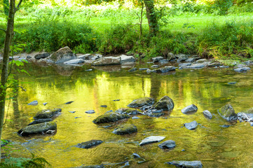 Along the river Barle in Tarr Steps Woodland