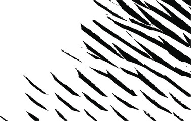Monochrome curved lines and brush strokes Texture. Abstract distressed vector illustration. Overlay over any design to create interesting effect and depth. Black isolated on white. EPS10