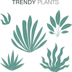 Modern trendy plants and leaves in trendy earthy hues