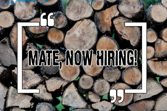 Writing note showing Mate Now Hiring. Business concept for Workforce Wanted Employees Recruitment Wooden background vintage wood wild message ideas intentions thoughts - Powered by Adobe