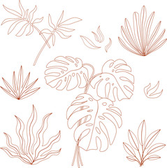 Modern trendy plants and leaves in the trendy line style