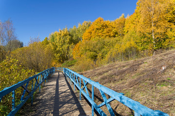 Fototapeta na wymiar Trees with yellowed foliage on the side of a ravine.