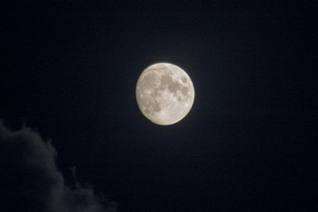 moon in summer night