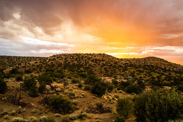 New Mexico Desert