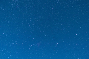 Night sky covered with many stars.
