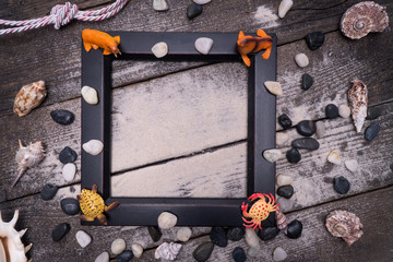 Natural Seashell, safe housing for marine life.