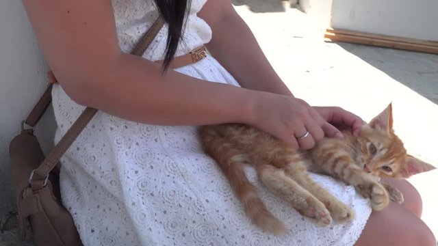 A young woman in a white dress sits with a ginger kitten on her lap stroking and gently