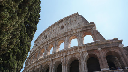 Obraz premium Rome Colosseum 