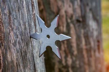 Shuriken (throwing star), traditional japanese ninja cold weapon stuck in wooden background © Sergii