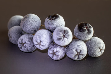 Frozen berry covered with frost