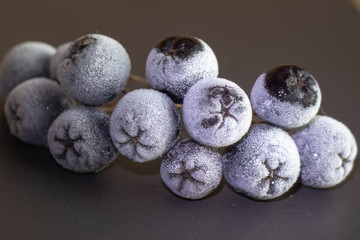 Frozen berry covered with frost