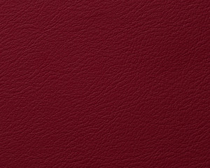 Genuine Leather Material Closeup Macro.