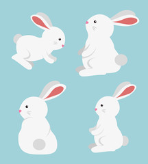 set of rabbit cute wild animal
