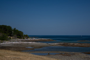 Tribune Bay - Hornby Island