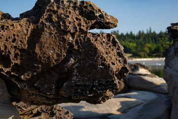 Tribune Bay - Hornby Island