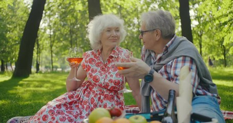 Senior couple drinking wine in park