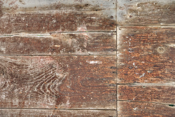 Wooden background and texture with some termite infestation. Rustic backdrop with framed empty copy space