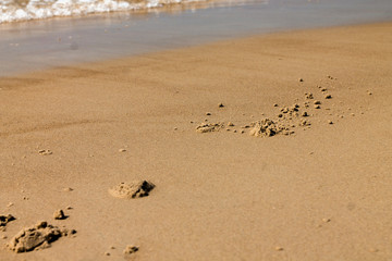 Sandy beach Baltic Sea. Beach sunset. Footprints on the sandy beach.