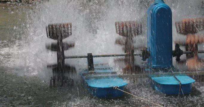 Water Aerators Paddle Wheels in Aquaculture Farming Pond