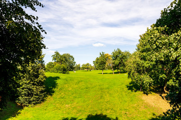 green city park during a sunny day , place of urban rest for citizens in a holyday with fine weather
