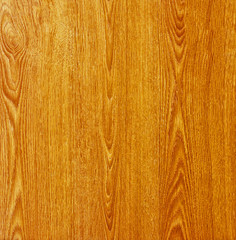 texture of bark wood use as natural background. Vintage