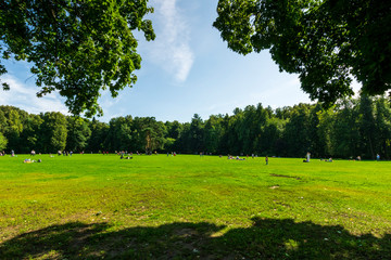 green city park during a sunny day , place of urban rest for citizens in a holyday with fine weather