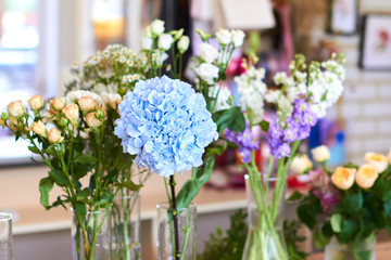 Variety of beautiful flowers in vases on display indoors, business,focus on blue hydrangea. blurred background