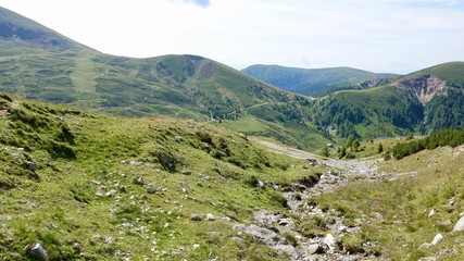 Fototapeta na wymiar Alm- und Berglandschaft in Südtirol