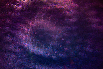 Blue dark pink purple abstract surface