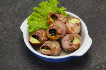 French cuisine - Escargot with sauce