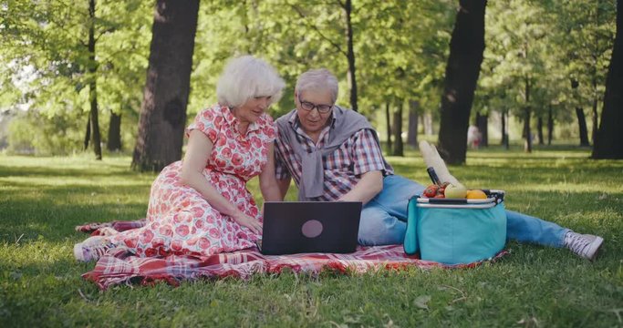 Old man and woman with laptop on picnic