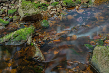 Bystrina creek in summer nice morning in Krusne mountains near Sokolov town