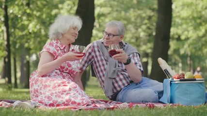 Senior couple in park having a picnic