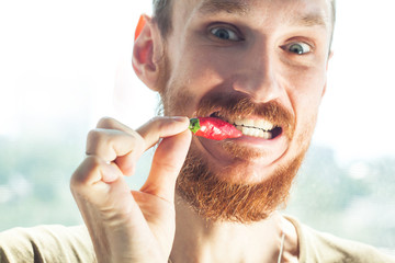 Handsome bearded man bites a red hot chili pepper and smiles. Harvest, farming, spicy food, savory...