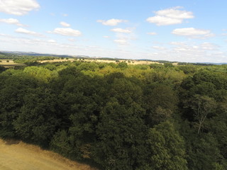 Fototapeta na wymiar Forêt en Bourgogne, vue aérienne 