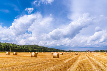 Runde Strohballen auf dem Feld unter weiß-blauem Himmel