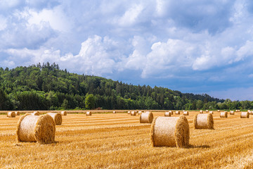 Strohballen zieren geerntetes Stoppelfeld 