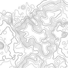 Topographic map background. Grid map. Abstract vector illustration.