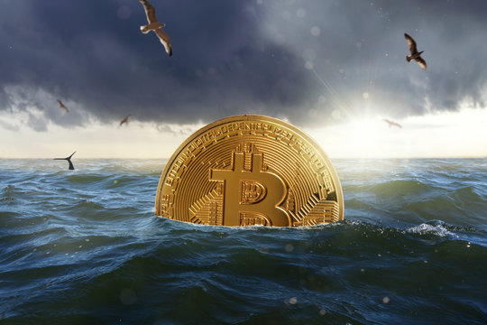 bitcoin is swimming in the ocean
