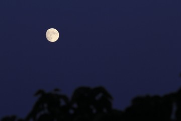 Fototapeta premium Moon in the night sky close-up
