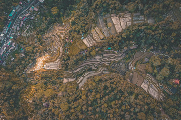Tegallalang Rice Terraces from above, in Ubud, Bali, Indonesia