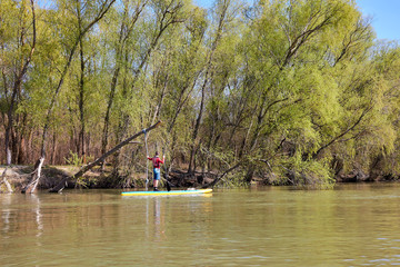 Fototapeta na wymiar Teenager boy rowing on SUP (stand up paddle board) in spring Danube river against the gently green trees on the shore of the river
