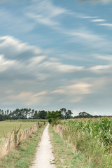 Obraz premium Dirt pathway between fence and corn field under cloudy sky. Long exposure shot.