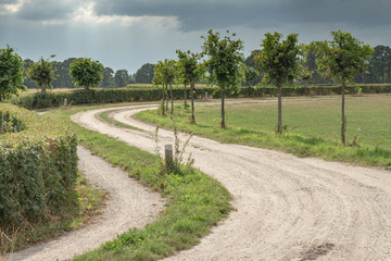 Curved dirt road in summer rural landscape under cloudy sky.