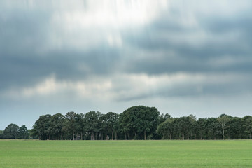 Meadow with trees on horizon under cloudy sky. Long exposure shot.