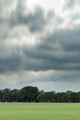 Meadow with trees on horizon under cloudy sky. Long exposure shot.