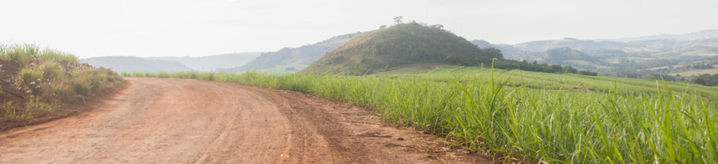 Fototapeta na wymiar Panoramana de paisagem com estrada rural, mantanhas e plantação de cana de açúcar.