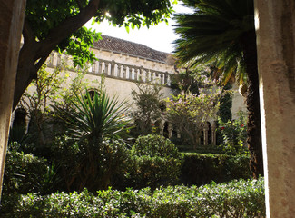 Dziedziniec klasztoru pełen tropikalnej zieleni © Radosaw