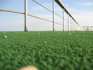 soccer field and goal
